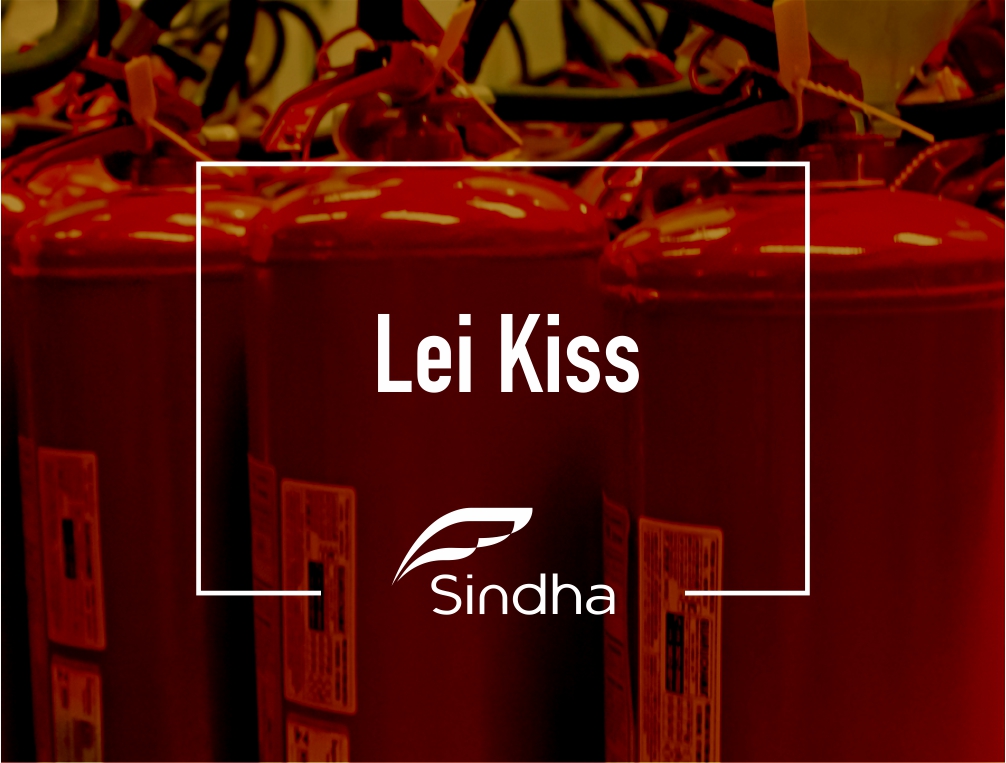 Sindha saúda aprovação do projeto que altera pontos da Lei Kiss