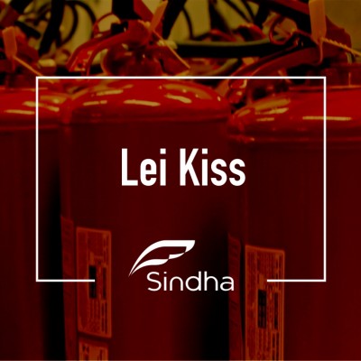 Sindha saúda aprovação do projeto que altera pontos da Lei Kiss